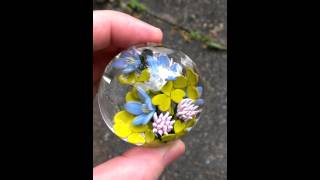 Watch Marble Clover video