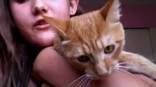 Jagger The Cat Meet Jagger