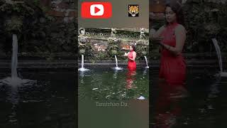 Amala Paul மக சவரததரயல பனத நரடய அமல பல... லடடஸட படடஸ