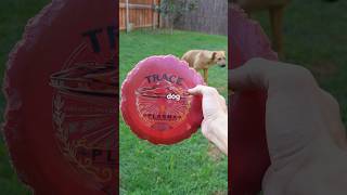 How Do Destroyed Discs Fly?