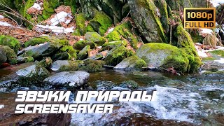 Живая Природа - Речка | Звуки Природы | Звуки Реки | Звуки Воды | Релаксация | Антистресс | Заставка