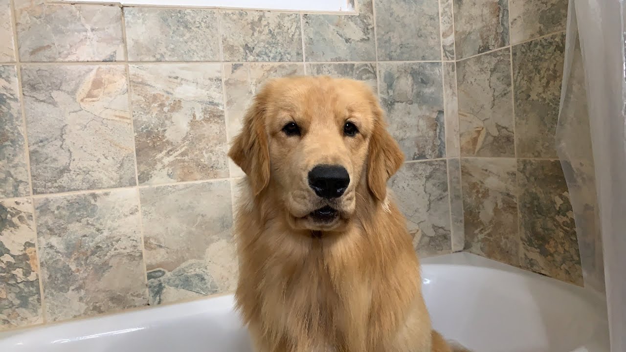 Live bath
