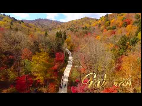 This Fall video will make you swoon!