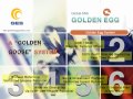 GES International. Golden Egg System (GOLDEN GOOSE = INVESTMENT SYSTEM) - ynilink.com