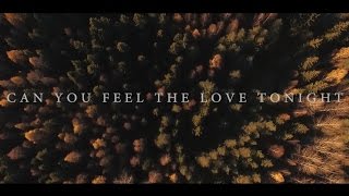 Passenger - Can You Feel The Love Tonight