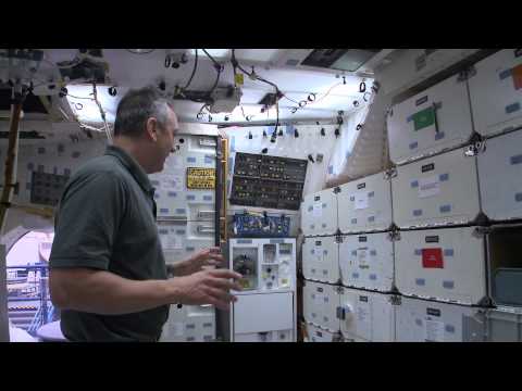 Mitre Memphis Trainers