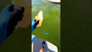 Cleaning The Swimming Pool