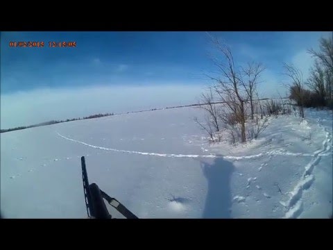 калмашево рыбалка калмашево рыбалка