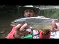 trouts