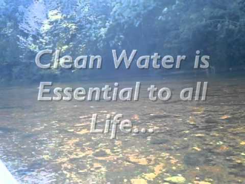 river floating view Video river floating view Video