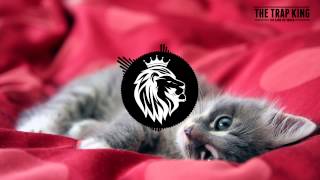 Watch Ty Dolla Sign Drop That Kitty video