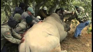 Africa Antílopes Safaris
