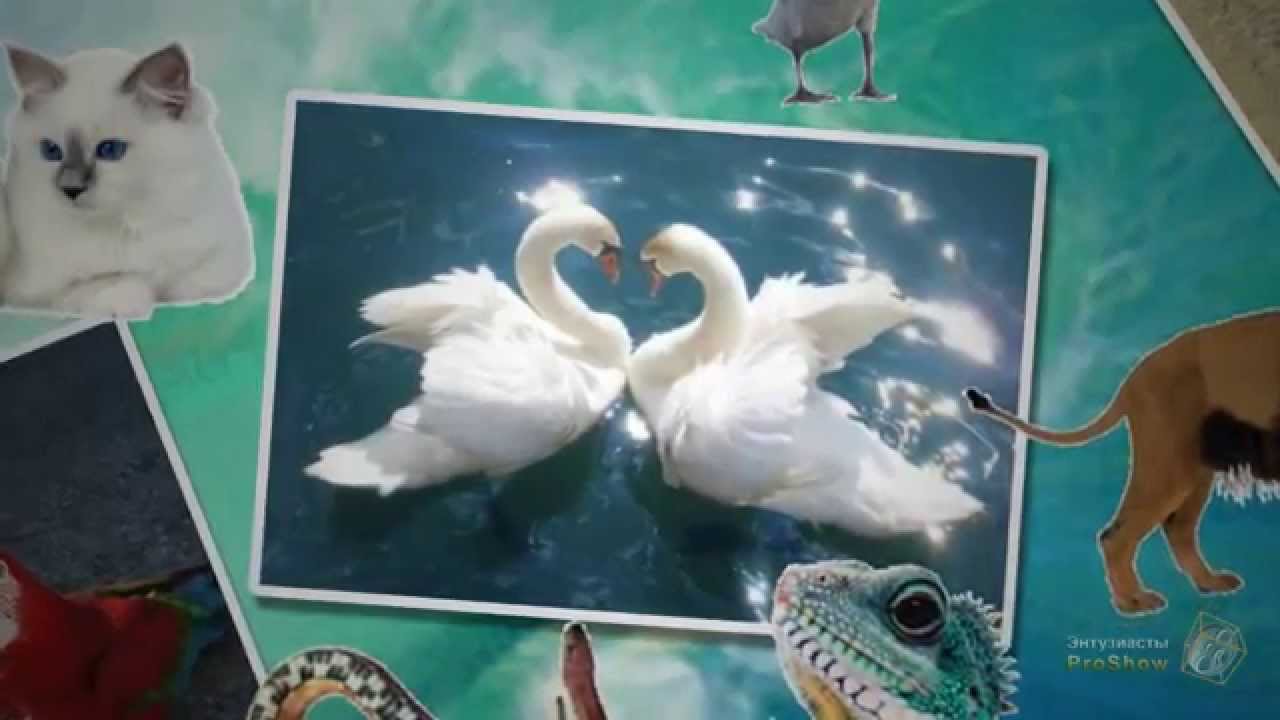 Как сделать коллаж вшопе из двух Как сделать коллаж вшопе из двух