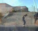 birdhouse the lost footage
