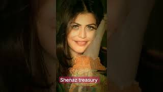 Shenaz Treasury Transformation Journey Life Unseen Pictures