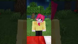Hiha Cant Sleep In Minecraft