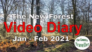 The New Forest Video Diary - January and February 2021 #add3minutes