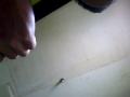 Bokep New images Bokep New