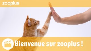 Bienvenue Sur La Chaîne Youtube De Zooplus