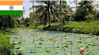 O Altă Față A Indiei - O Zi Relaxantă În Kerala