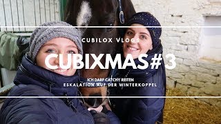 VLOG#3 ? cubiXMAS - Ich reite Catchy, Eskalation auf der Winterkoppel | Cubilox Vlogs