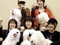 Part 10 - SS501, Five Forever As One