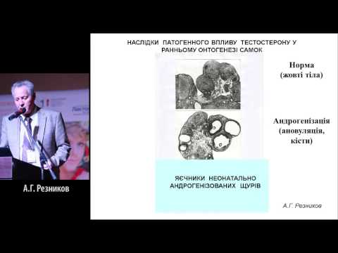 Лечение в Железноводске - Санаторий им. Кирова Когда экспресс-тест на беременность ошибается