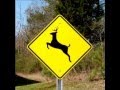 Radio caller Donna wants Deer Crossing Signs moved (AUDIO)