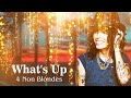 4 Non Blondes - What's Up (Official Music Video)