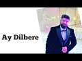 Ay Dilbere - Malek Samo