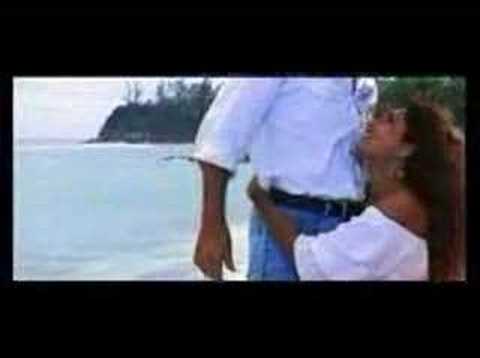 Oh Humsafar Dil Ke Nagar - Fareb (1996)