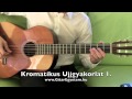 Kromatikus Ujjgyakorlat 1 - www.GitarEgyetem.hu