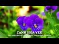 Cánh hoa yêu - Hoàng Trọng & Vĩnh Phúc (Tiếng hát Hoàng Phương Mai)