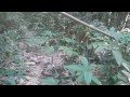 HAV 動画23b