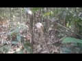 HAV 動画23c