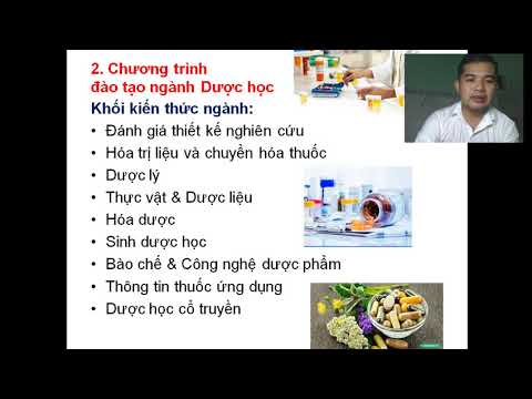 Ngành Dược học nên học ở trường nào? Hướng Nghiệp Vương Hiền
