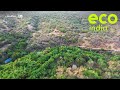 Eco India: How a forest cooperative is reversing desertification in Tamil Nadu
