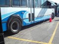 HRT 1995 Gillig Phantom Party Bus #532 at 2012 Virginia State Bus Roadeo