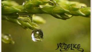 Watch Yodelice Shadow Boxing video