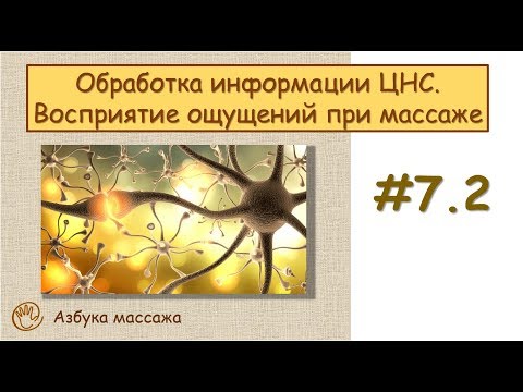 За какие органы отвечают прыщи на лице? Добрый вечер)Подскажите пожалуйста, как отбелить кожу вокруг