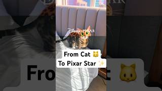Simba Transforms Into A Pixar Movie Character Before & After