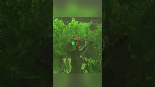 Korok Guide Find Korok Seeds In Zelda Breath Of The Wild