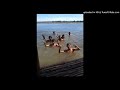 HAV 動画24b