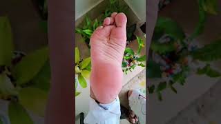 The Great Asian Soles And Feet