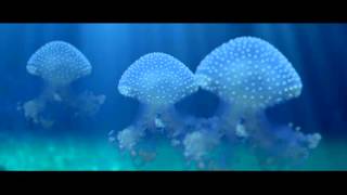 Ogni Vasca È Uno Spettacolo. Il Nuovo Spot Dellacquario Di Genova.