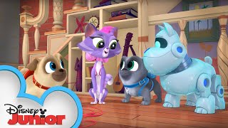 Forget Pups Not Puppy Playcare Puppy Dog Pals Disney Junior