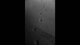 Quiet music relaxes the nerves موسيقي هادئة تريح الاعصاب واخر انسجام