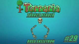 Terraria Rehber Türkçe Skeletron Boss