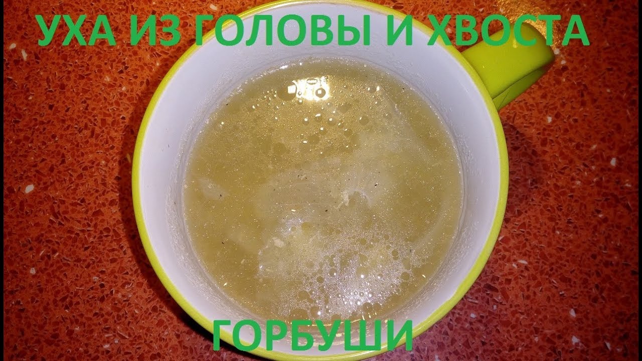 Уха из горбуши головы и хвоста рецепт с пошагово в Уха из горбуши головы и хвоста рецепт с пошагово в