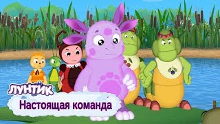 Настоящая команда 💥 Лунтик 💥 Сборник мультфильмов для детей
